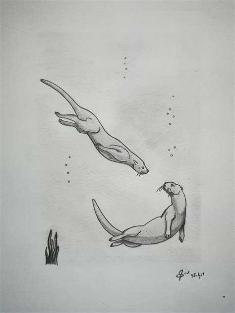 Pencil Sketch - Otters | Otters, Pencil sketch, Art