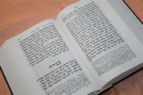 TBS Hebrew and Greek Bible – Review - Bible Buying Guide