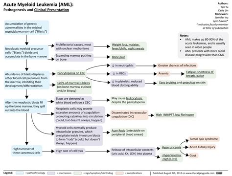 Acute Myeloid Leukemia | Calgary Guide