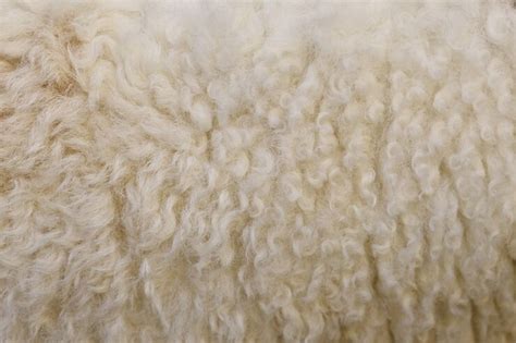 Premium Photo | Wool texture background