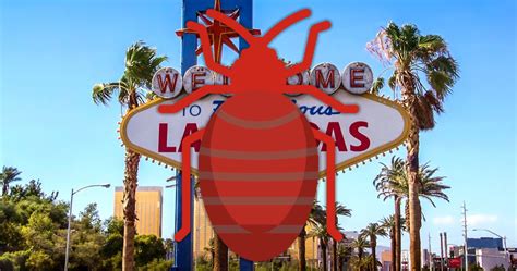 Can You Sue a Las Vegas Hotel for Bed Bugs? | Bed Bug Law