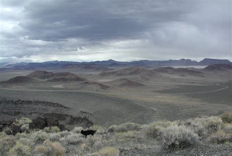 In the Company of Plants and Rocks: Scoria and cinders at Lunar Crater ...