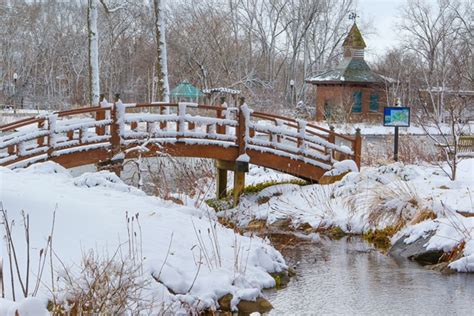 Wellfield's Winter Wonderland Photo Contest! - Wellfield Botanic Gardens