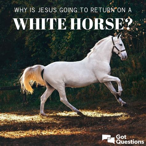 Jesus On Horse