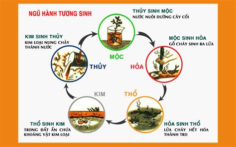 Xem ngay: List 20 các mệnh tương sinh tương khắc hay nhất bạn nên biết