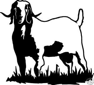 BOER Goat 3 Decals Farm Animal Window Stickers 6 | Boer goats, Animals, Farm animals