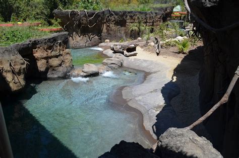 Giant River Otter Habitat - ZooChat