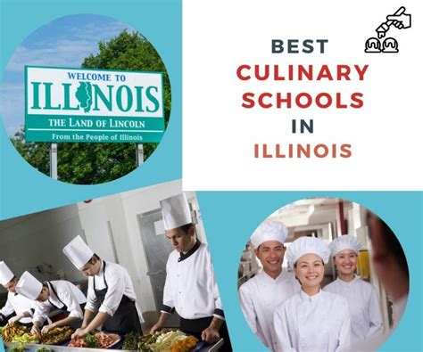 Best 12 Culinary Schools in Illinois - Chef's Pencil