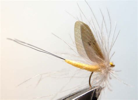 DRY FLY Patterns - Page 2 of 2 - FrostyFly