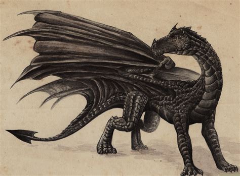 Top 10 Dragons in Harry Potter - HobbyLark