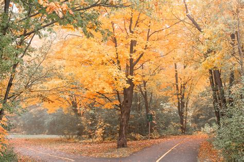 Fall colours in Canada : r/MostBeautiful