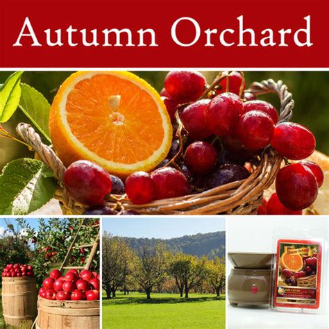 Autumn Orchard | candlecottage