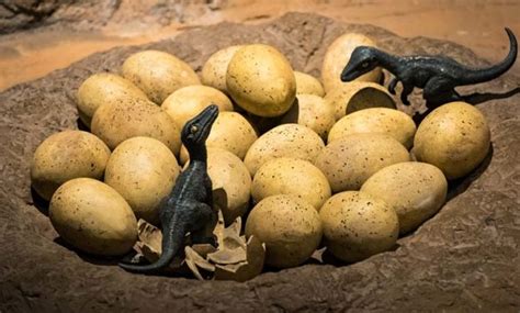 ¿Cuántas crías podían tener los dinosaurios? | Bebés de dinosaurio