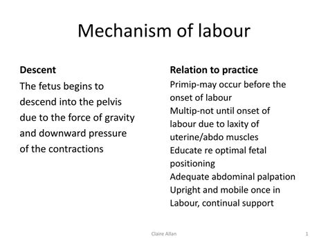 PPT - Mechanism of labour PowerPoint Presentation - ID:616813