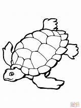 Printable Sea Turtle Coloring Page sketch template