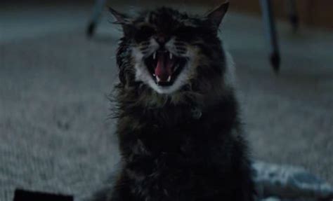 'Pet Sematary' Footage Reveals An Undead Church