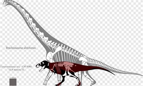 Giraffatitan، Brachiosaurus، tyrannosaurus، Deinonychus، Lusotitan، التيرانوصورات, الديناصور ...