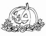 Pumpkin Coloring Pictures Printable sketch template