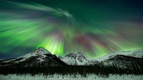 Aurora Borealis Lights Alaska | Shelly Lighting