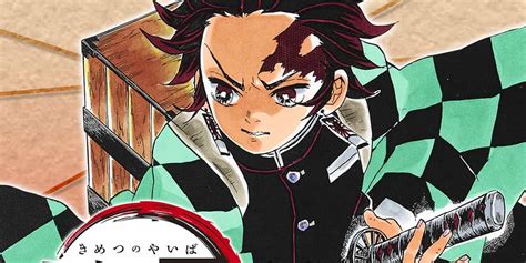 Best Demon Slayer Arcs in Kimetsu no Yaiba | Screen Rant