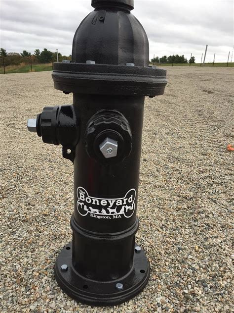 Custom Black Fire Hydrant