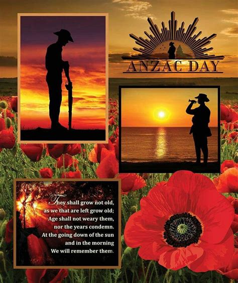 Lest We Forget | Remembrance day art, Anzac day, Remembrance day pictures