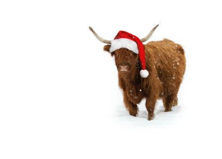 Merry Christmas! - Cows & Animals Background Wallpapers on Desktop ...