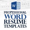 40+ Professional Word Resume Templates - Website design, Online store development, E-Commerce