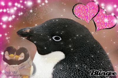 Penguin Love Picture #128448092 | Blingee.com