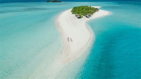 Download beach, aerial view, tropical island, maldives 2560x1440 wallpaper, dual wide 16:9 ...