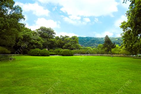 Fondo Cielo Azul Y Pasto Verde Fondo, Cielo Azul, Baiyun, Pasto Verde ...