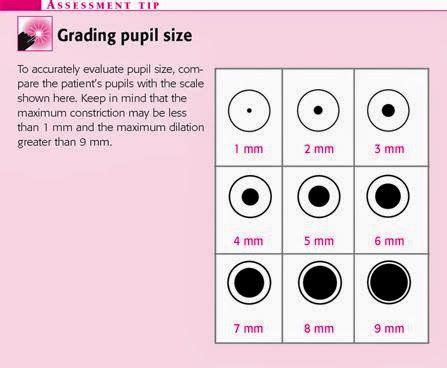 Pupil Eye Chart Size