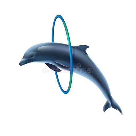 Dolphin Jumping Ring Stock Illustrations – 99 Dolphin Jumping Ring ...