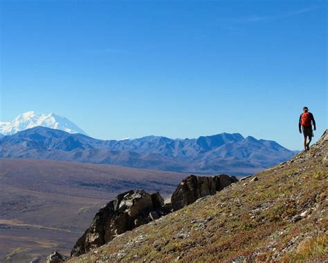 The Savage Alpine Trail - Denali National Park | Trails Unblazed