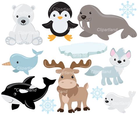 INSTANT Download. Arctic Animals Clip Art. Caa_3. Personal and ...