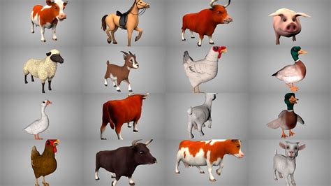 Farm animals collection VR / AR / low-poly | CGTrader