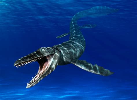 Mosasaurus | Mosasaurus Facts | DK Find Out