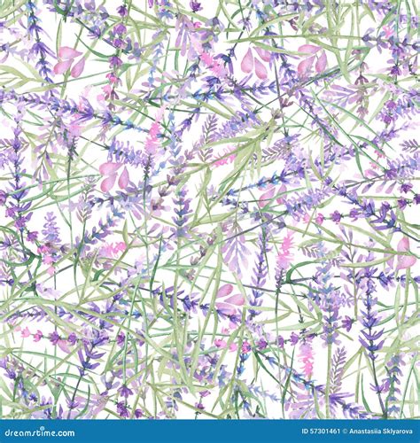 Pattern with lavender stock illustration. Illustration of nature - 57301461