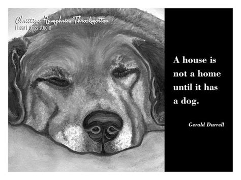 Gerald Durrell Quotes. QuotesGram