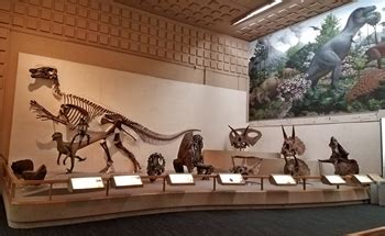 Yale Peabody Museum – Allosaurus Roar