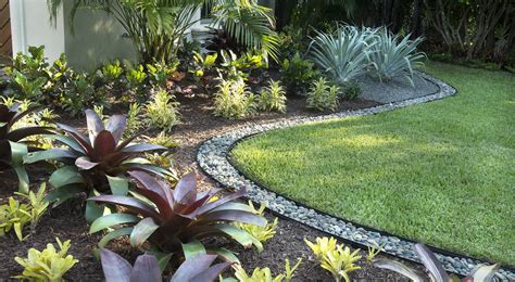 Planning a Low-Maintenance Garden - Troys Tropics