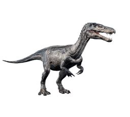 Baryonyx Fossil