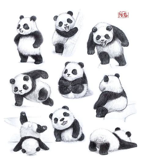 Pin by Lindsay Jin on Illustration | Cute panda drawing, Panda art ...