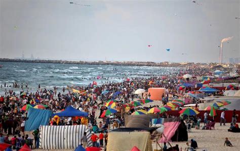 Beautiful beach in Gaza - China.org.cn