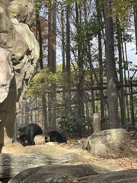 A Visit to North Carolina Zoo – Carolina Mom