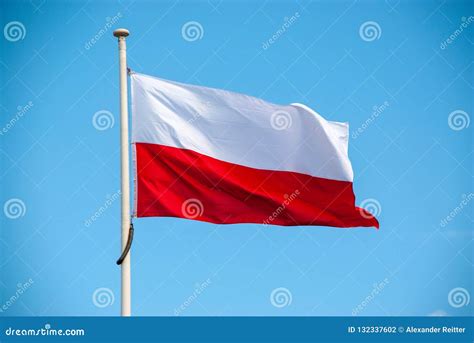 Flag of poland stock photo. Image of symbol, white, flag - 132337602