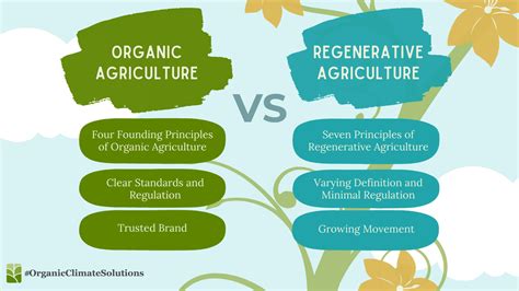 What’s the Difference Between Organic and Regenerative Agriculture (Or ...