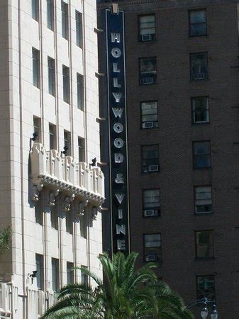 Hollywood and Vine (Los Angeles) - 2020 All You Need to Know BEFORE You Go (with Photos ...