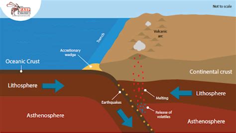 Animating Tectonic Processes