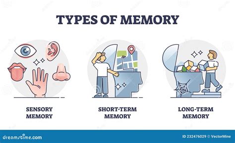 Types of Memory - Sensory, Short-term and Long-term, Vector Outline Diagram Stock Vector ...